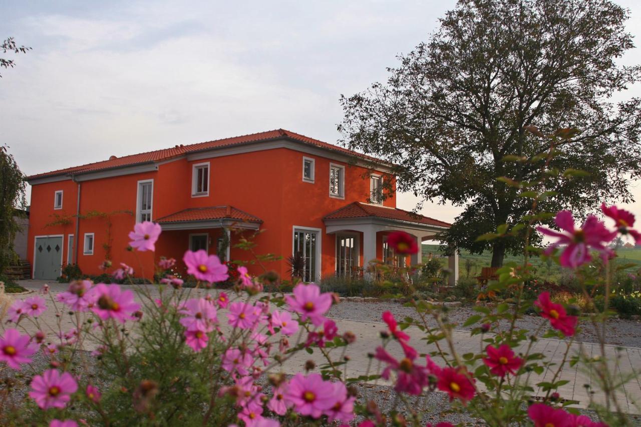 Weinhof Am Nussbaum Hotel Willanzheim Exterior photo